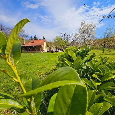 Fruska House Villa Besenovacki Prnjavor Dış mekan fotoğraf