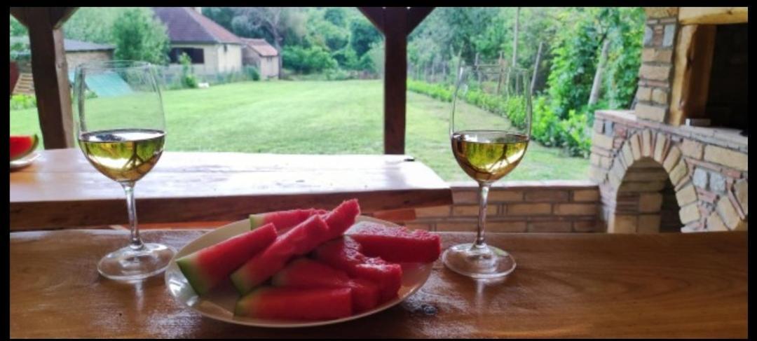 Fruska House Villa Besenovacki Prnjavor Dış mekan fotoğraf