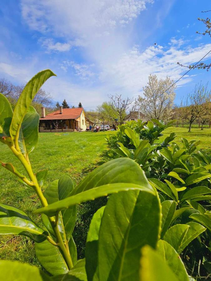 Fruska House Villa Besenovacki Prnjavor Dış mekan fotoğraf