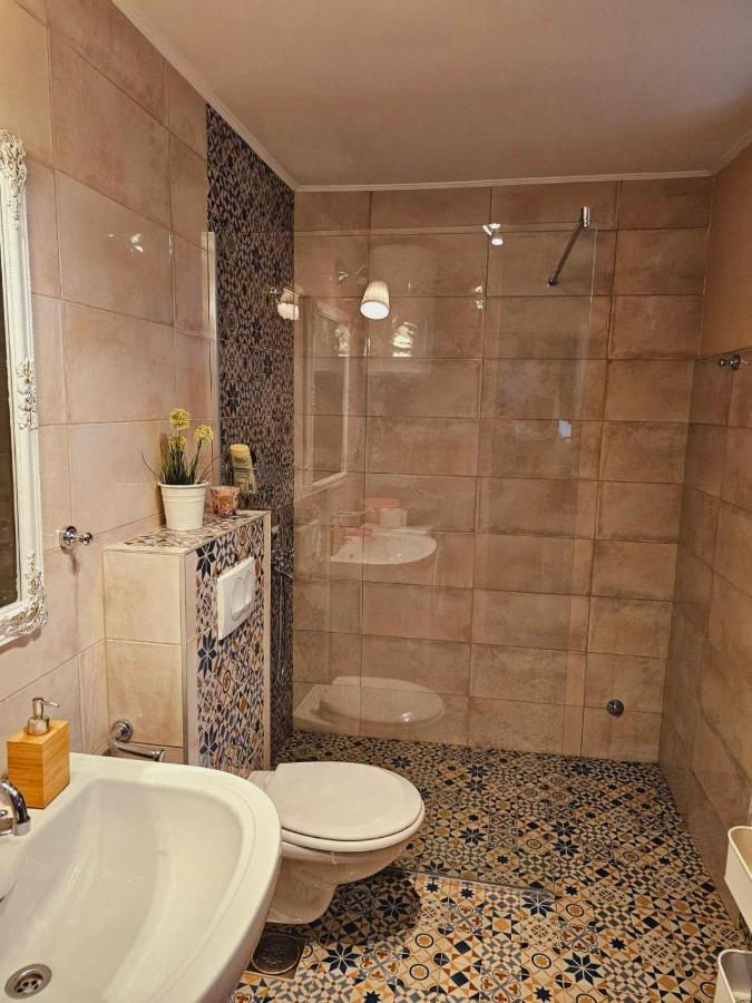 Fruska House Villa Besenovacki Prnjavor Dış mekan fotoğraf